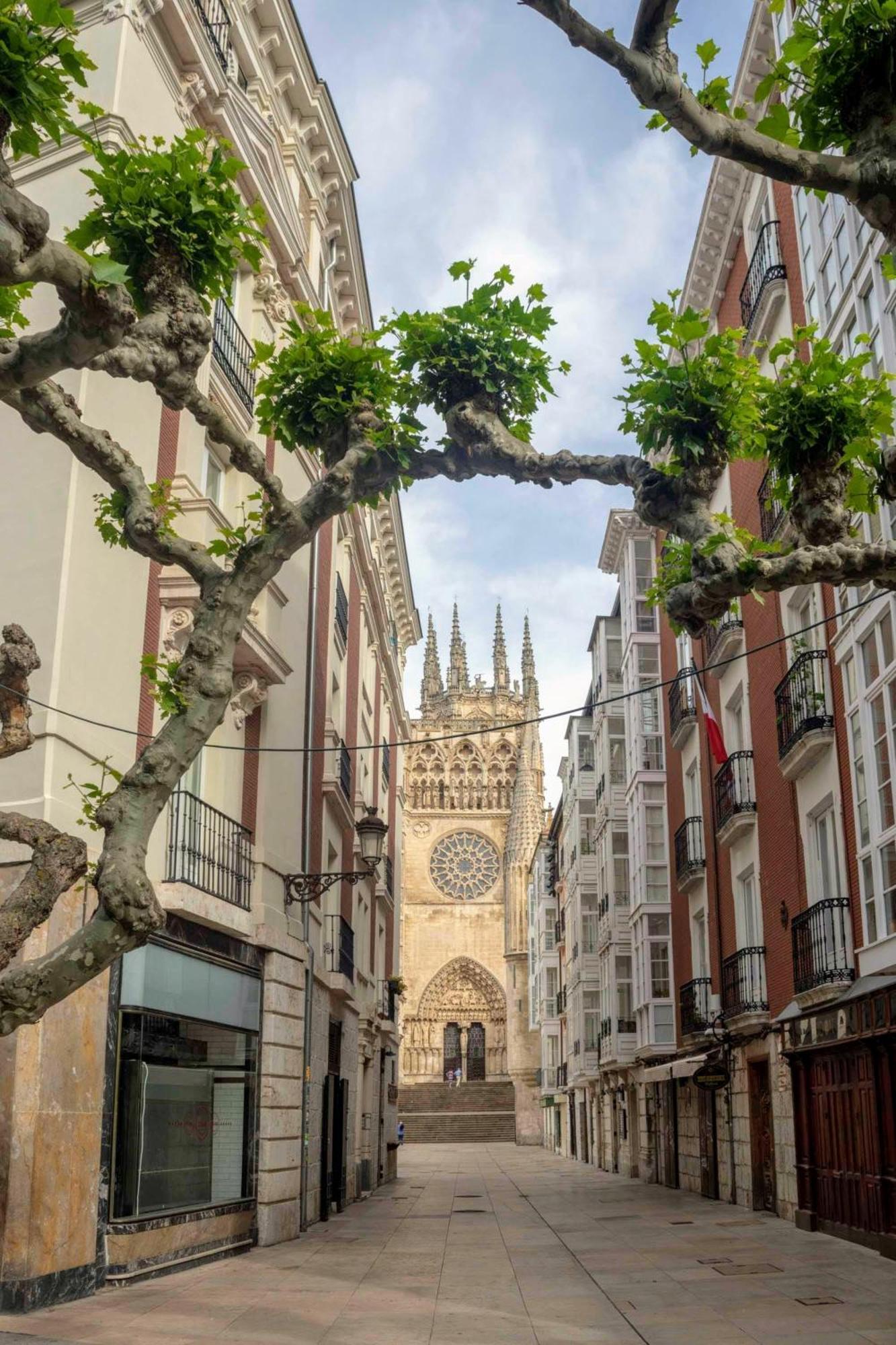 Dali'S Sanctuary In Granada - Private Parking Free公寓 外观 照片